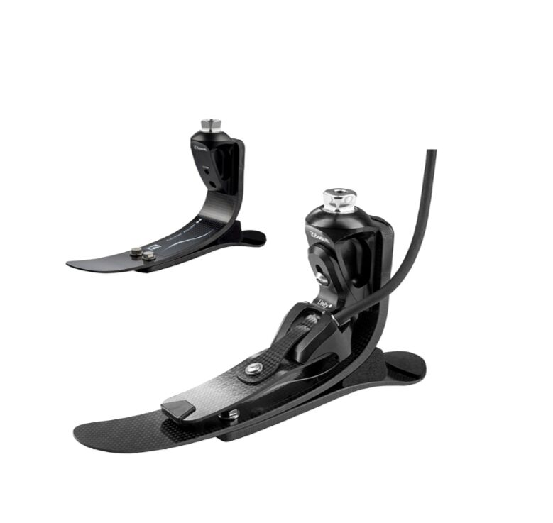 �����ë��