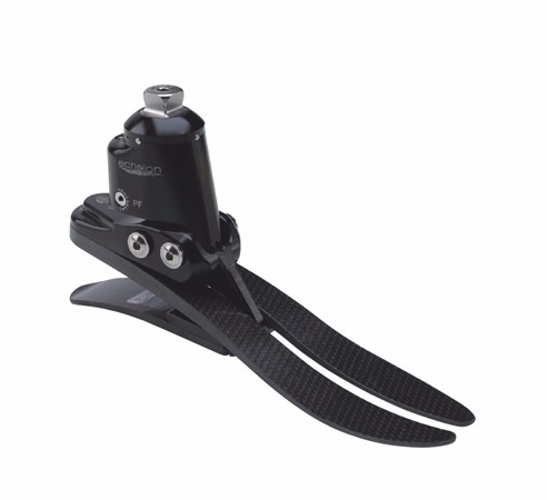 Һѹ˫�ƴ��ܽ�