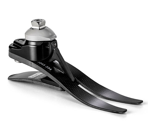  ����˫�ƴ��ܽ� 