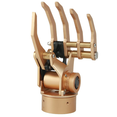 ��ָ�������󼡵�ǰ�ۼ�֫