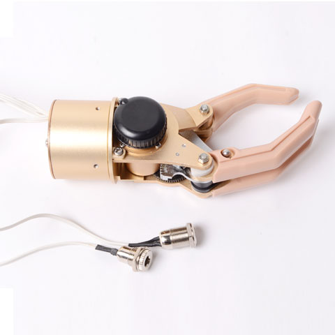 ��ָ�������󼡵�ǰ�ۼ�֫�����õ�أ�