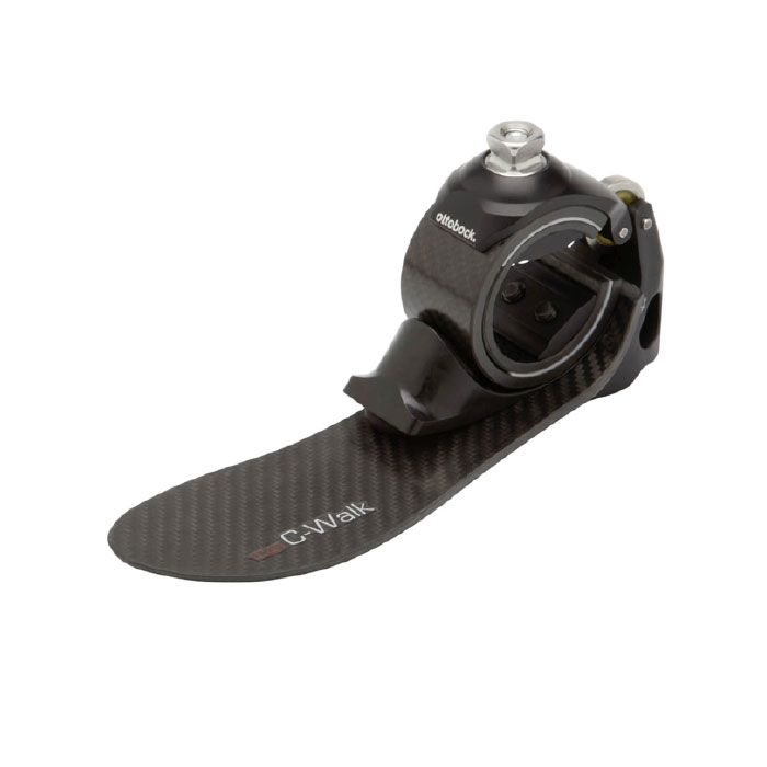  C-Walk���в���̼�˴��ܽ� 