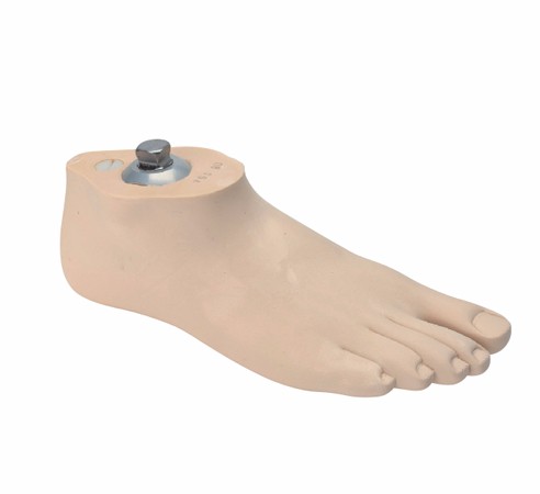  �������ڽ� 