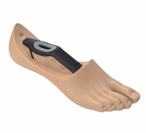  �����������׽� 