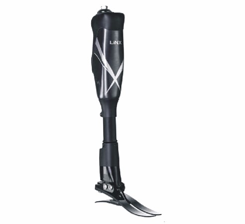  Linx��˼��������������֫ 